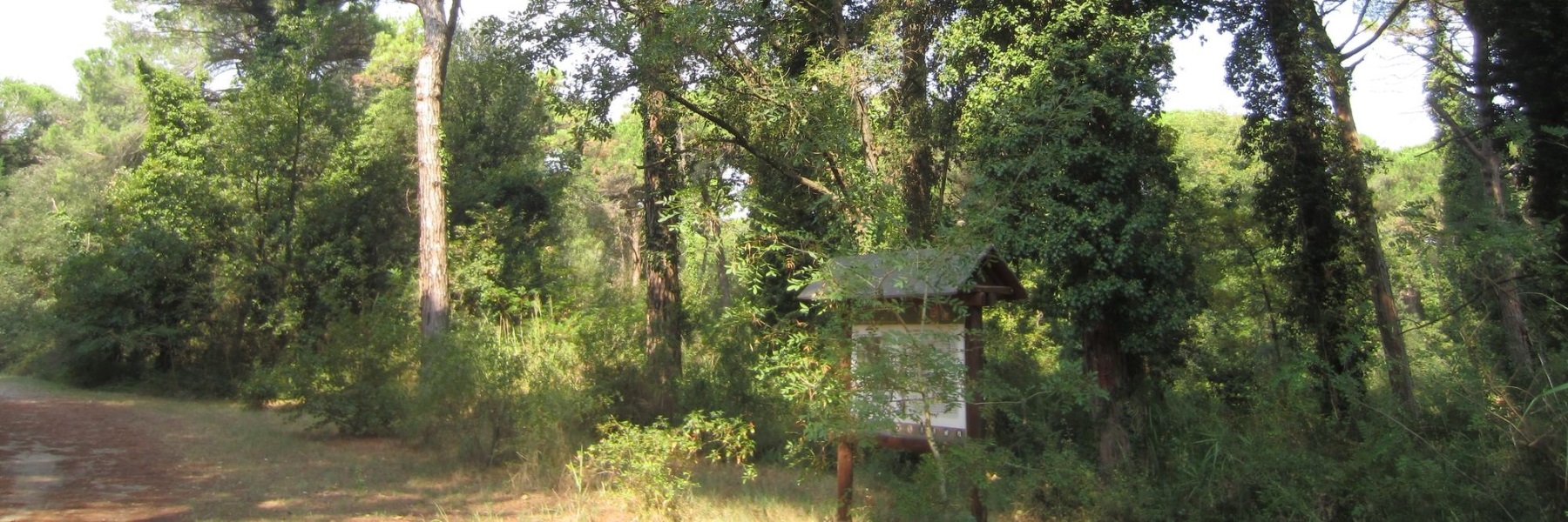 Biodiversity Walks