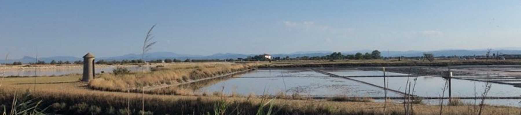 Tour in English on the Traces of an ancient Roman saltpan