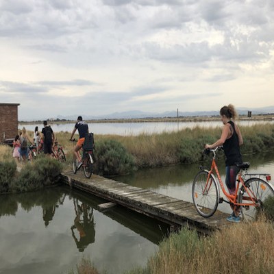 Marais salant, vélo et brunch