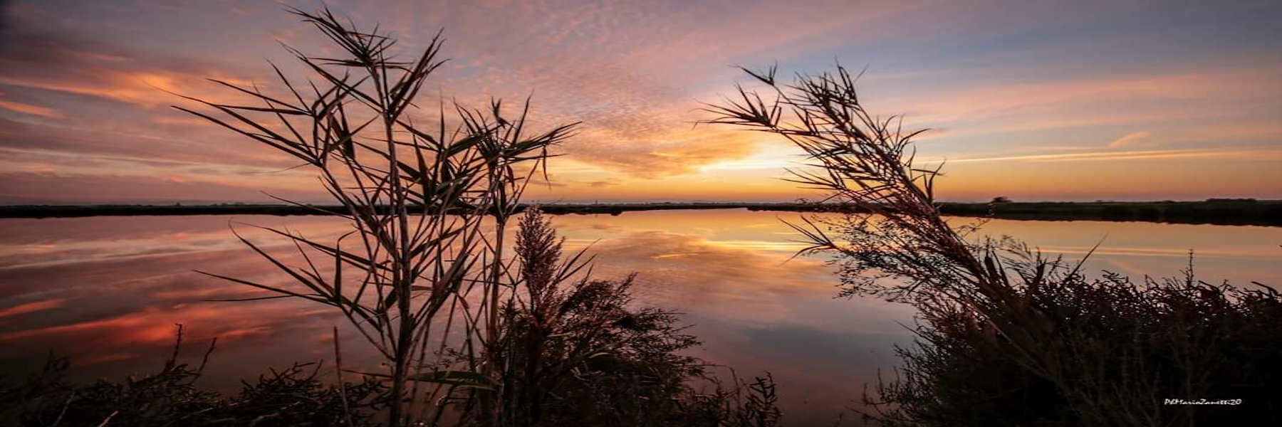 Levers et couchers de soleil dans les marais salants avec l'avifaune