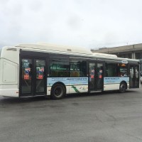 Bus Navetta Milano Marittima 2023