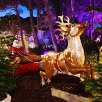 “Illumina il Natale”: un altro fine settimana ricco di eventi e spettacoli