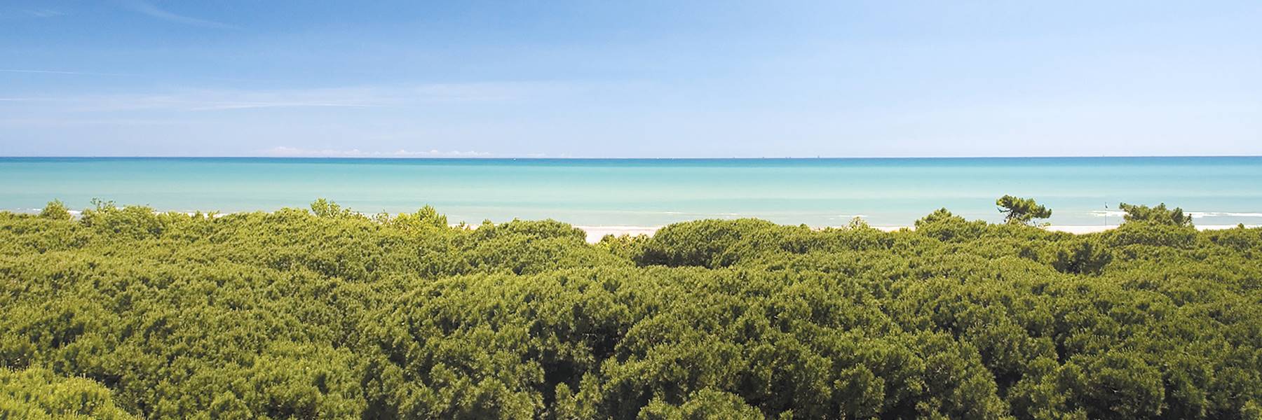 Partecipa alla pulizia della spiaggia e della Pineta di Tagliata di Cervia