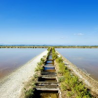 Salina di Cervia: al via la raccolta del Sale 2024