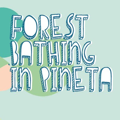Forest Bathing in Pineta