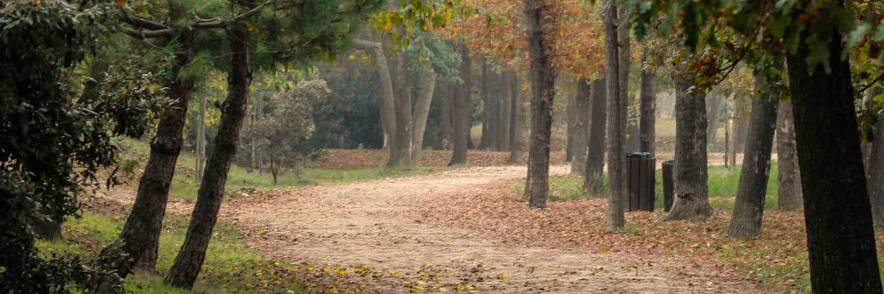 Forest Bathing in occasione dei Birdwatching Days