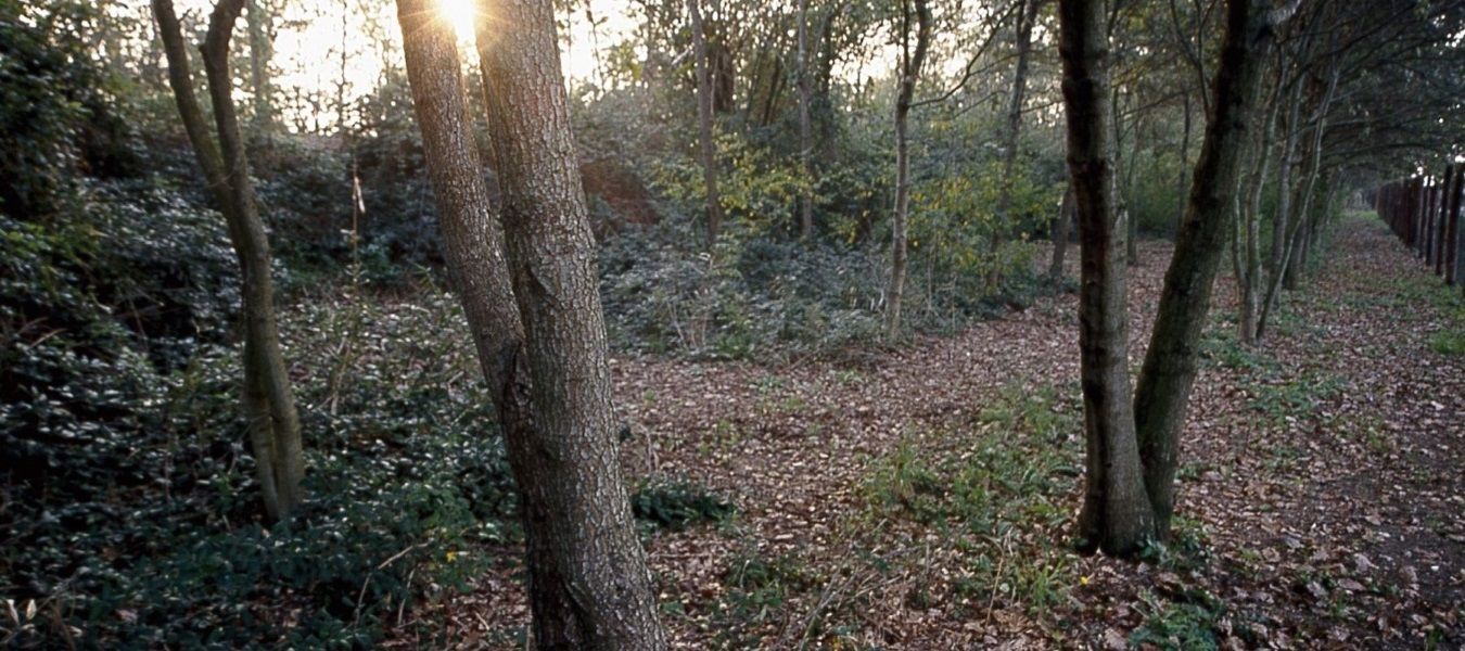 Visite guidate al Bosco del Duca D'Altemps